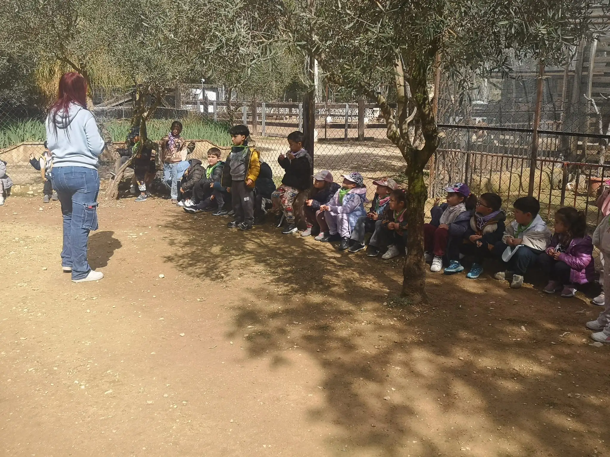 IMG_20260309_122403 copia