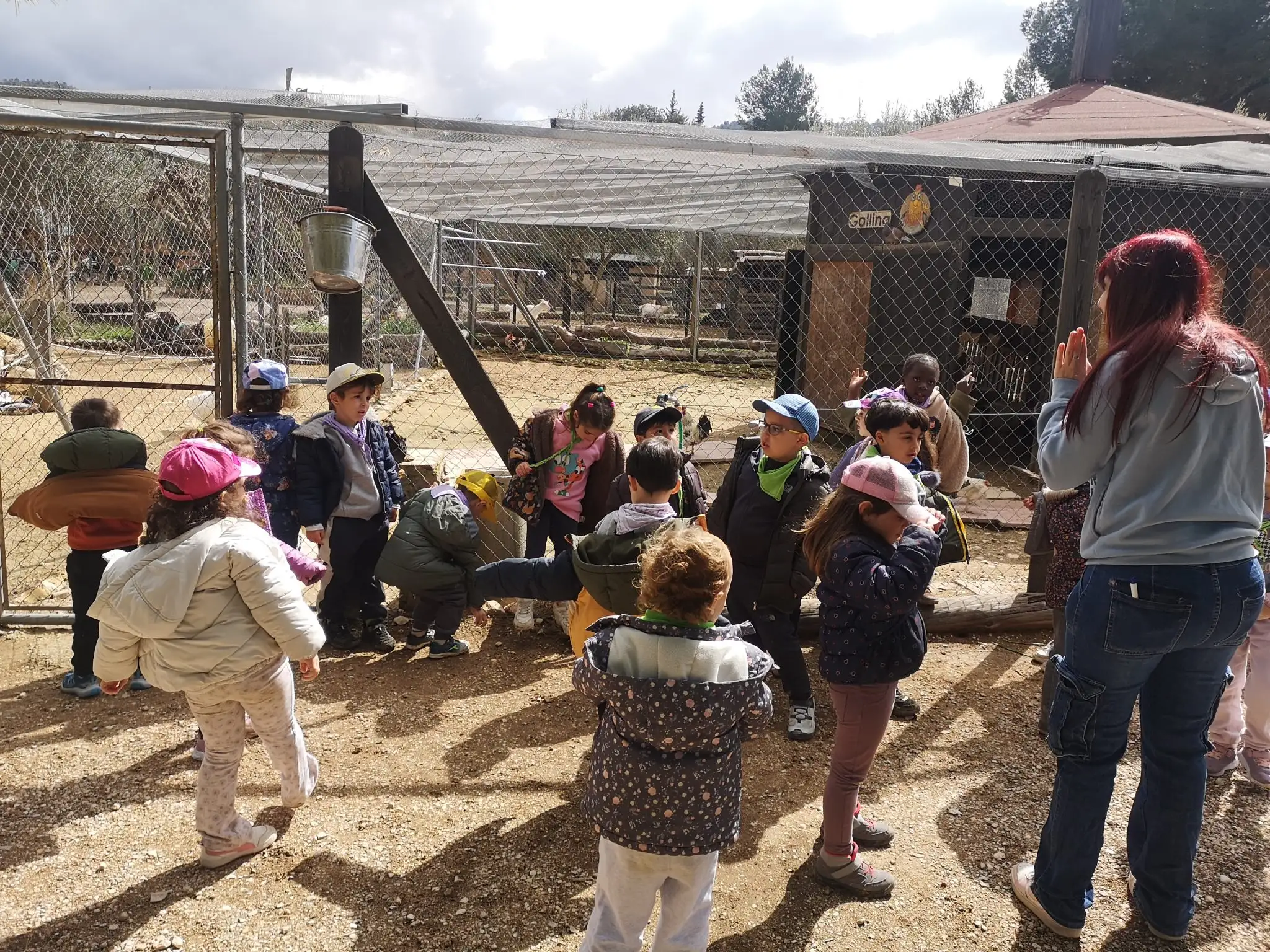 IMG_20260309_130630 copia