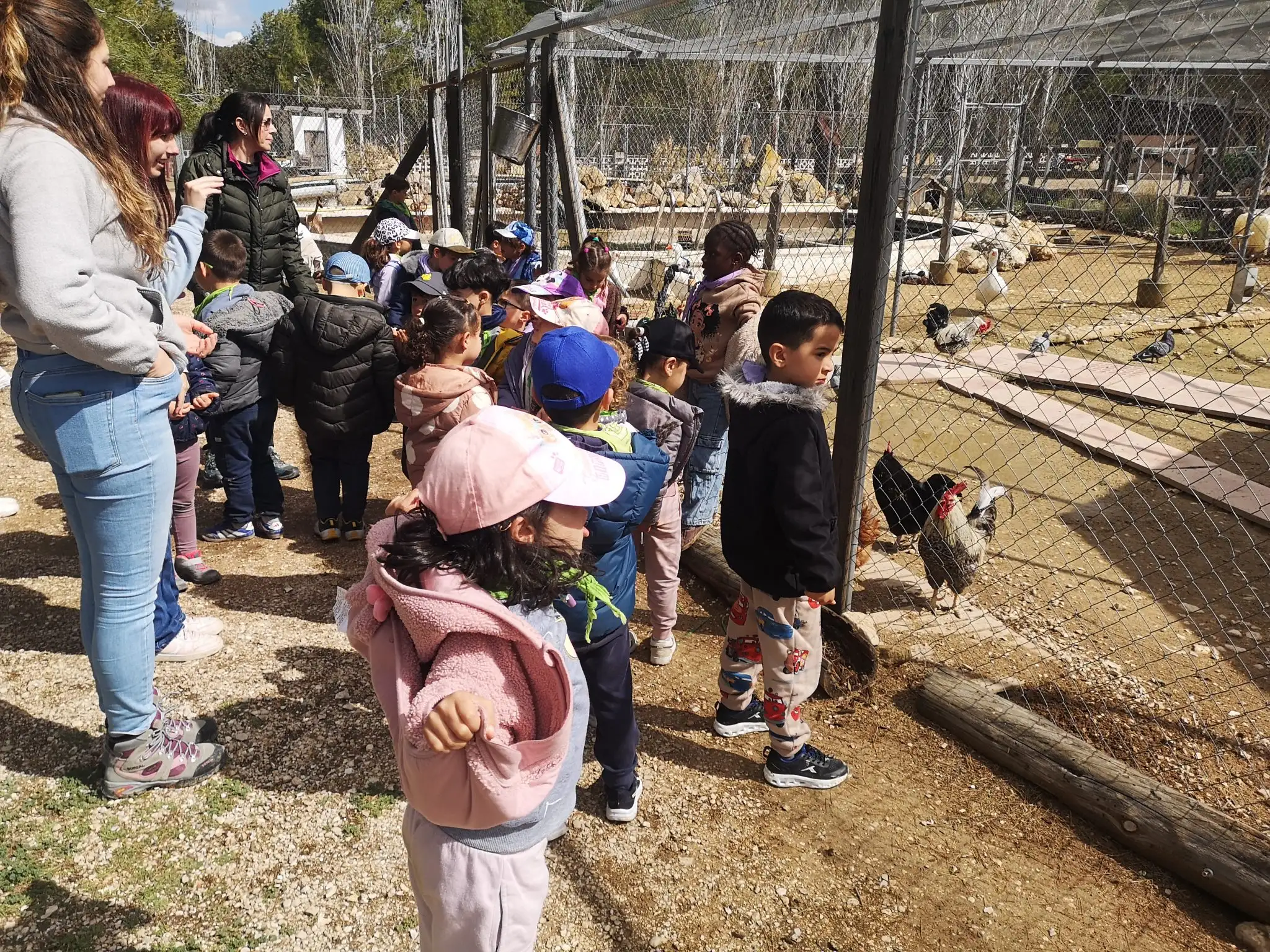 IMG_20260309_130704 copia