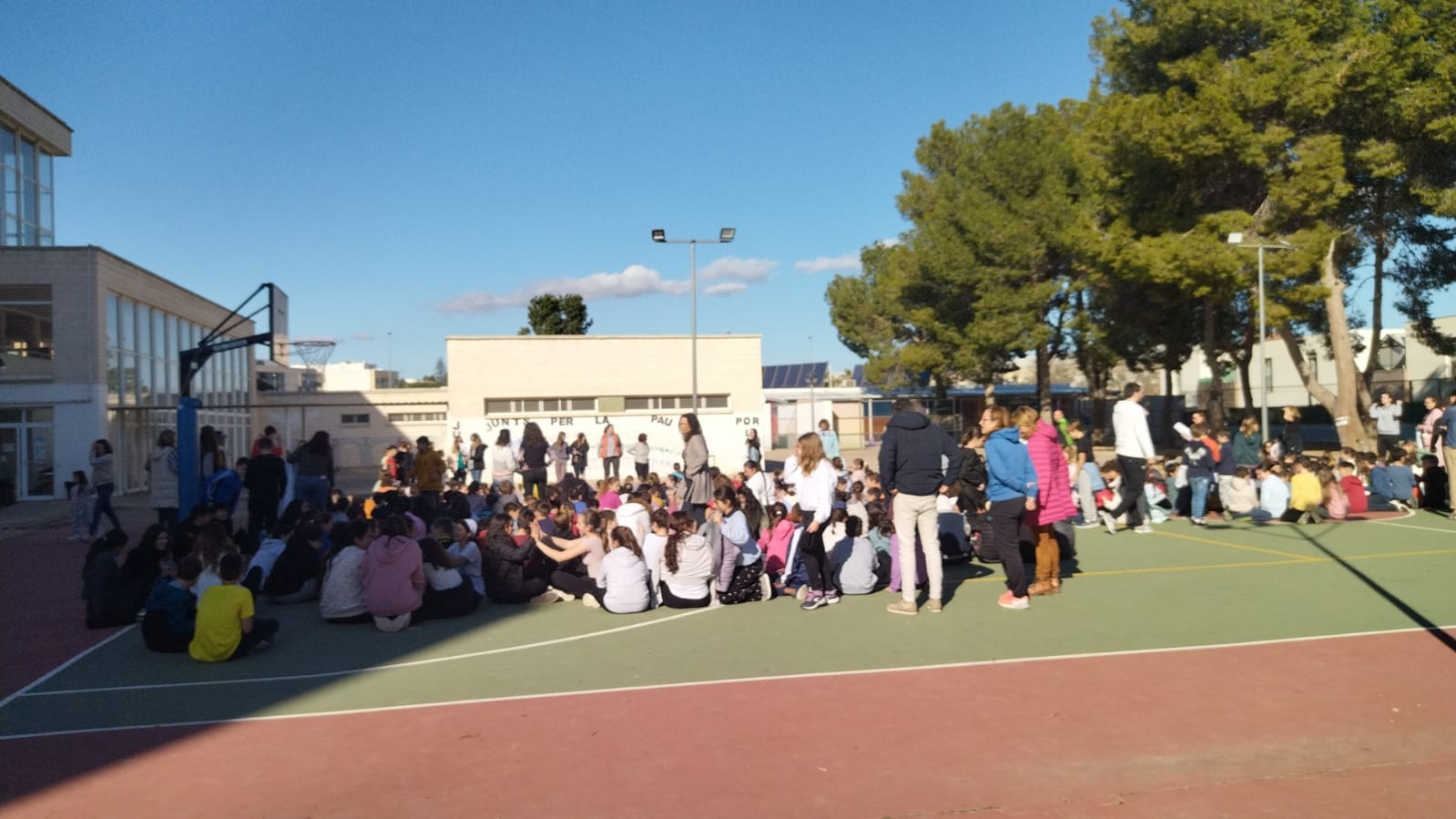 WhatsApp Image 2025-01-24 at 11.59.31