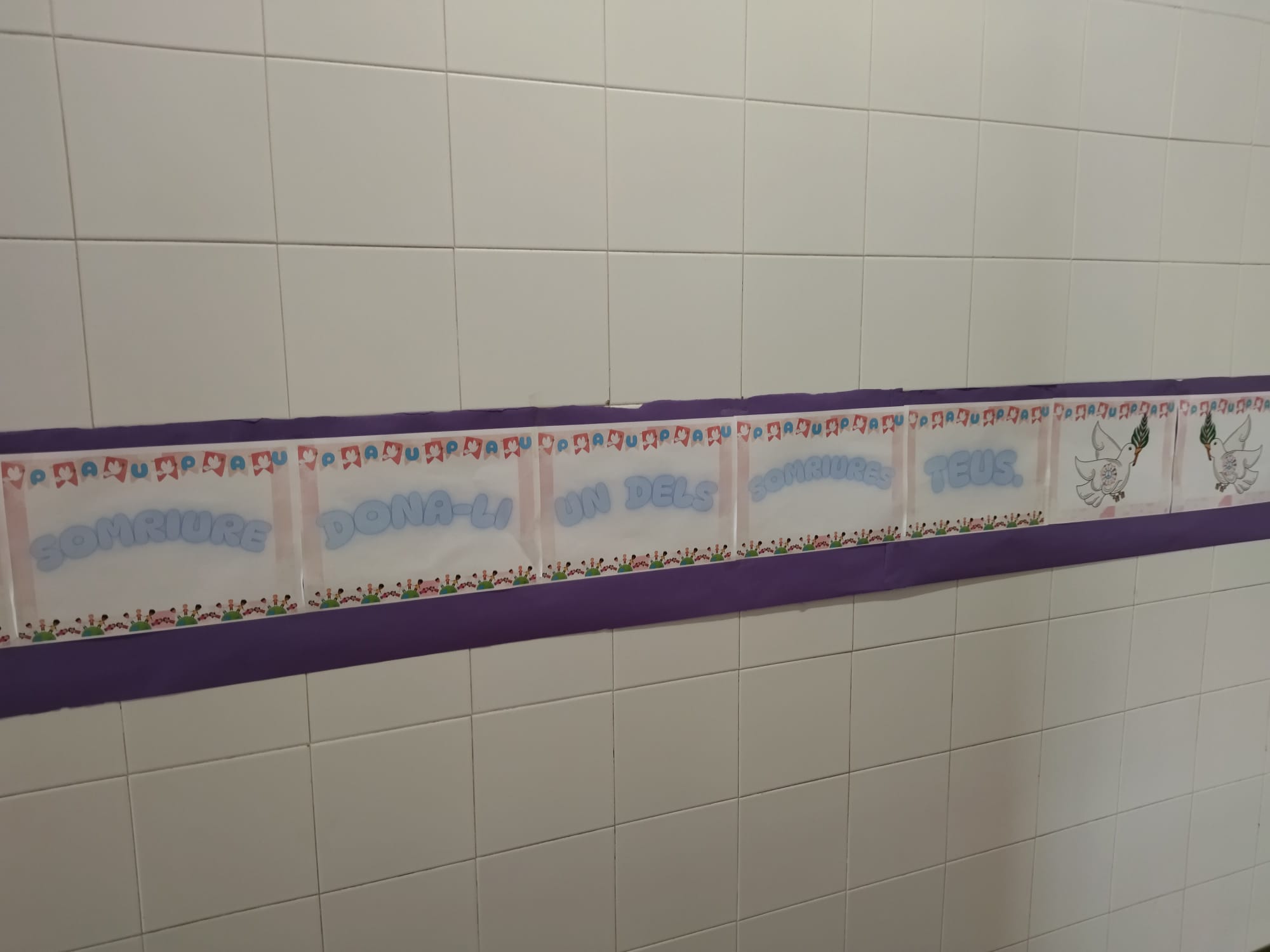 WhatsApp Image 2025-02-15 at 23.49.56-8