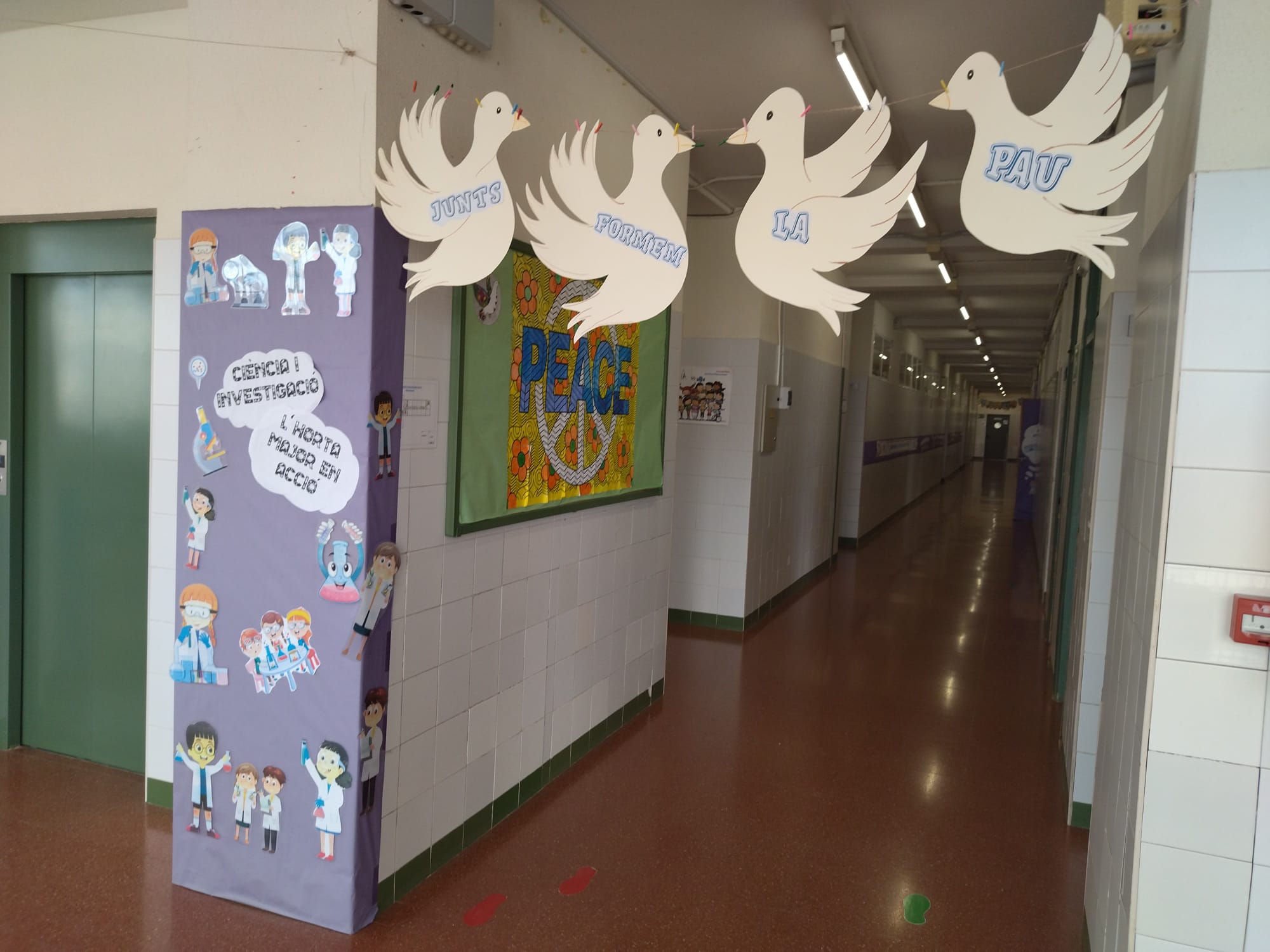 WhatsApp Image 2025-02-15 at 23.49.56-9