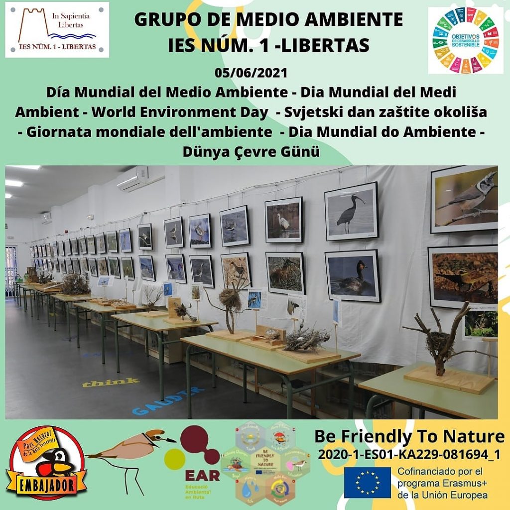 Día mundial del medio ambiente