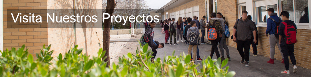 Nuestros Proyectos