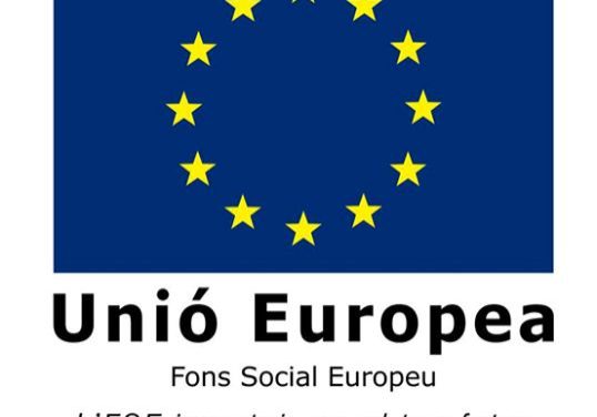 fons social europeu vertical