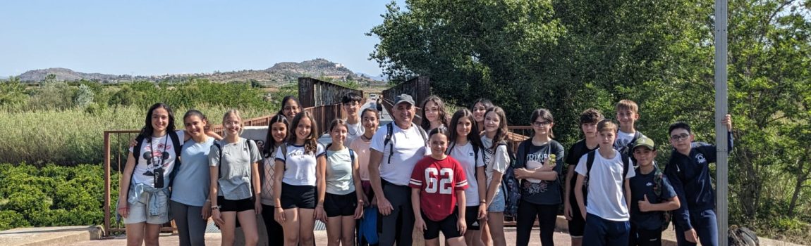 WhatsApp Image 2024-05-24 at 20.07.38 (1)