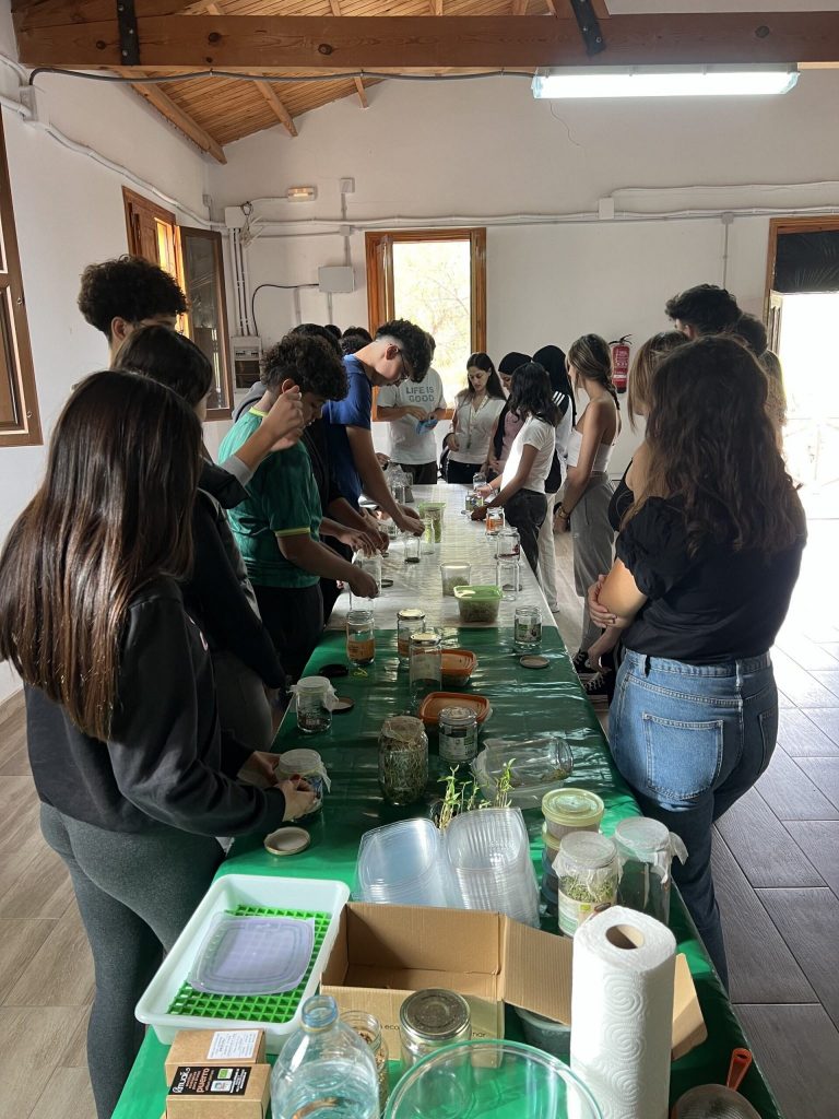 Mesa alargada que muestra al alumnado los resultados del taller.