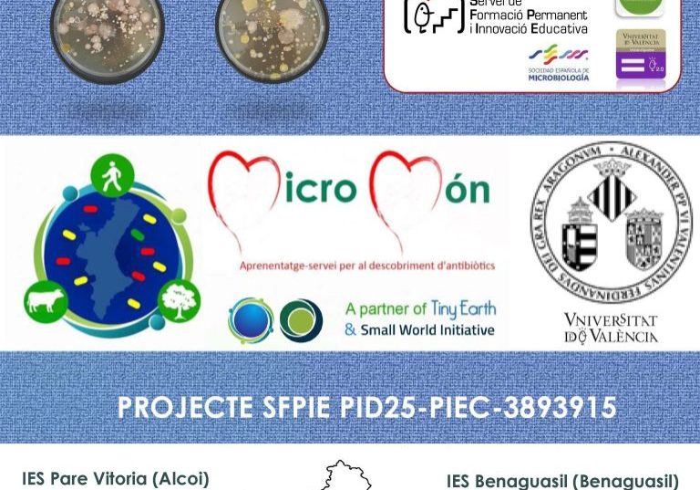 MICROMON 25 26 cartell IES