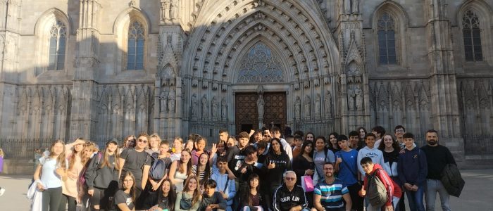 fa1e5cc7-aba6-4035-8951-7466d88b9449