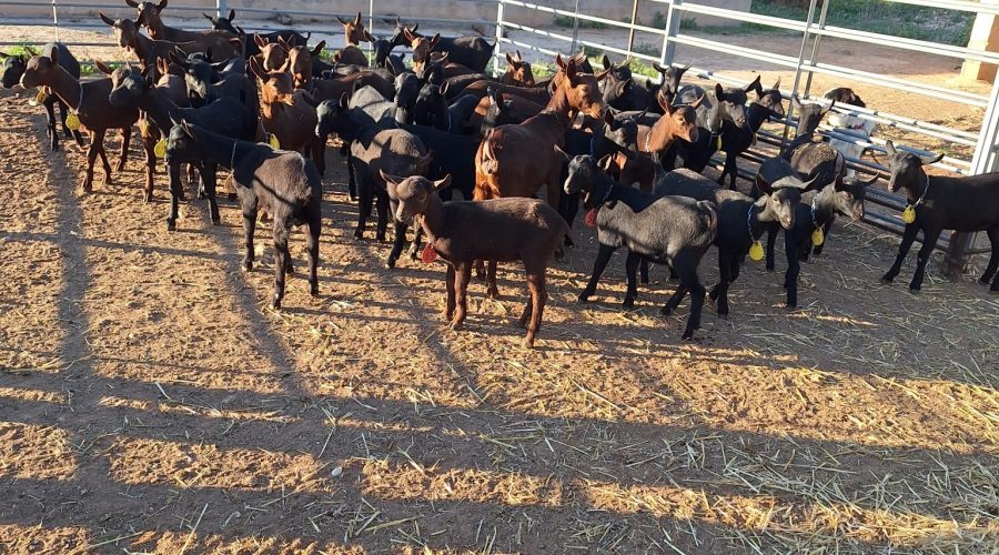 20241126_090332_MONICA MARIA CASTILL