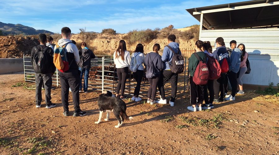 20241126_090347_MONICA MARIA CASTILL