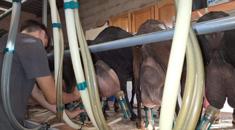 20241126_090941_MONICA MARIA CASTILL