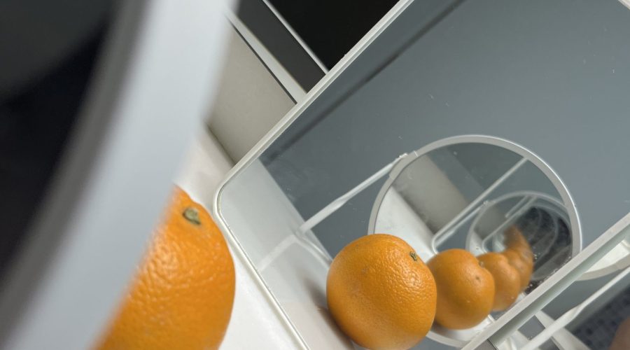 ACCÈSSIT - Fractal Citríc - Pablo Fenoll González - 4t ESO