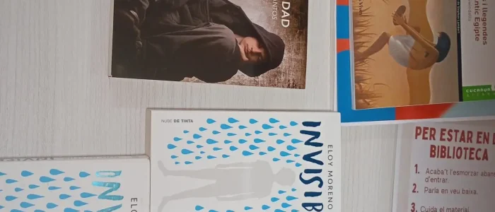 Contingut multimèdia
