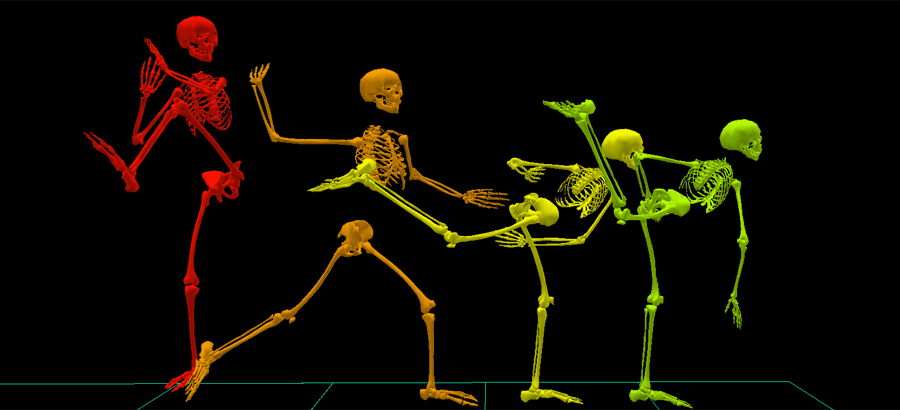 cropped-pitch-skeletons-wide