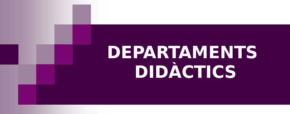 Competencias de los departamentos didácticos. Competencias de los/las jefes de los departamentos didácticos. Reglamento Orgánico de Centros (1995)