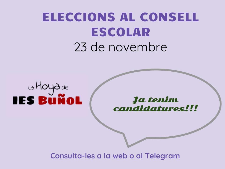 candidatures consell