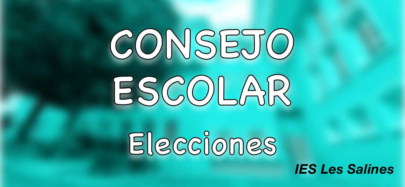 Consejo escolar elecciones IES Les Salines