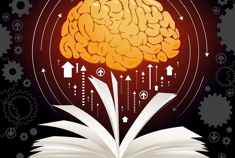 Lectura-y-Cerebro