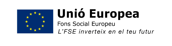 Fons Social Europeu – IES NÚMERO 1