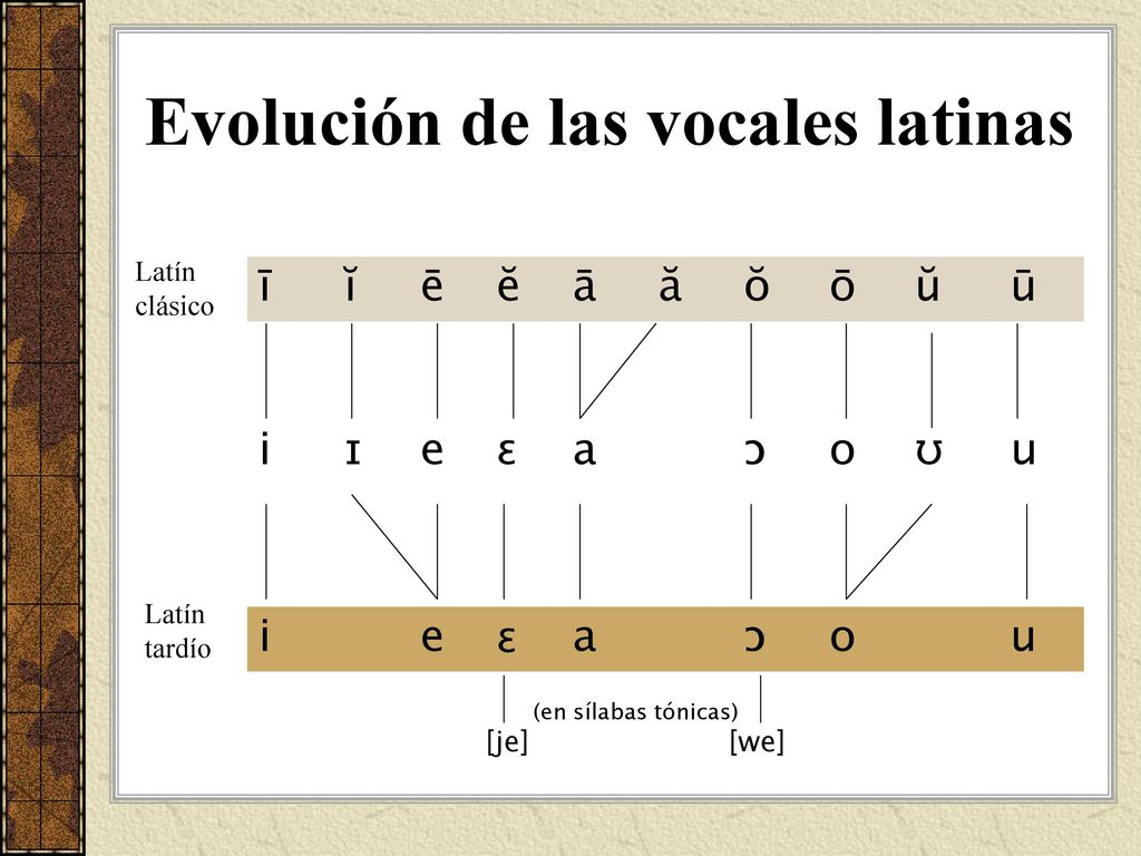 Latín. clásico. ī. ĭ. ē. ĕ. ā. ă. ŏ. ō. ŭ. ū. i. ɪ. e. ɛ. a. ɔ. o. ʊ. u. Latín. tardío. (en sílabas tónicas) [je] [we]