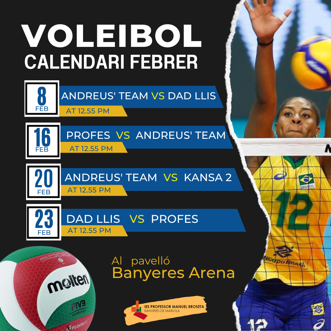 LLIGA DE VOLEIBOL