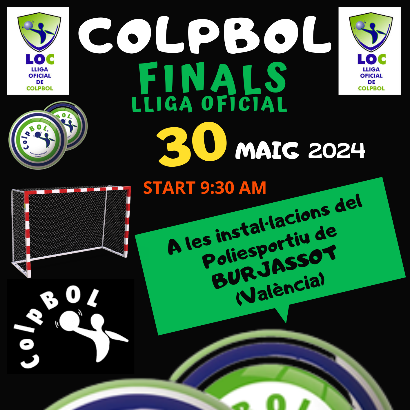 Final autonòmica de Colpbol