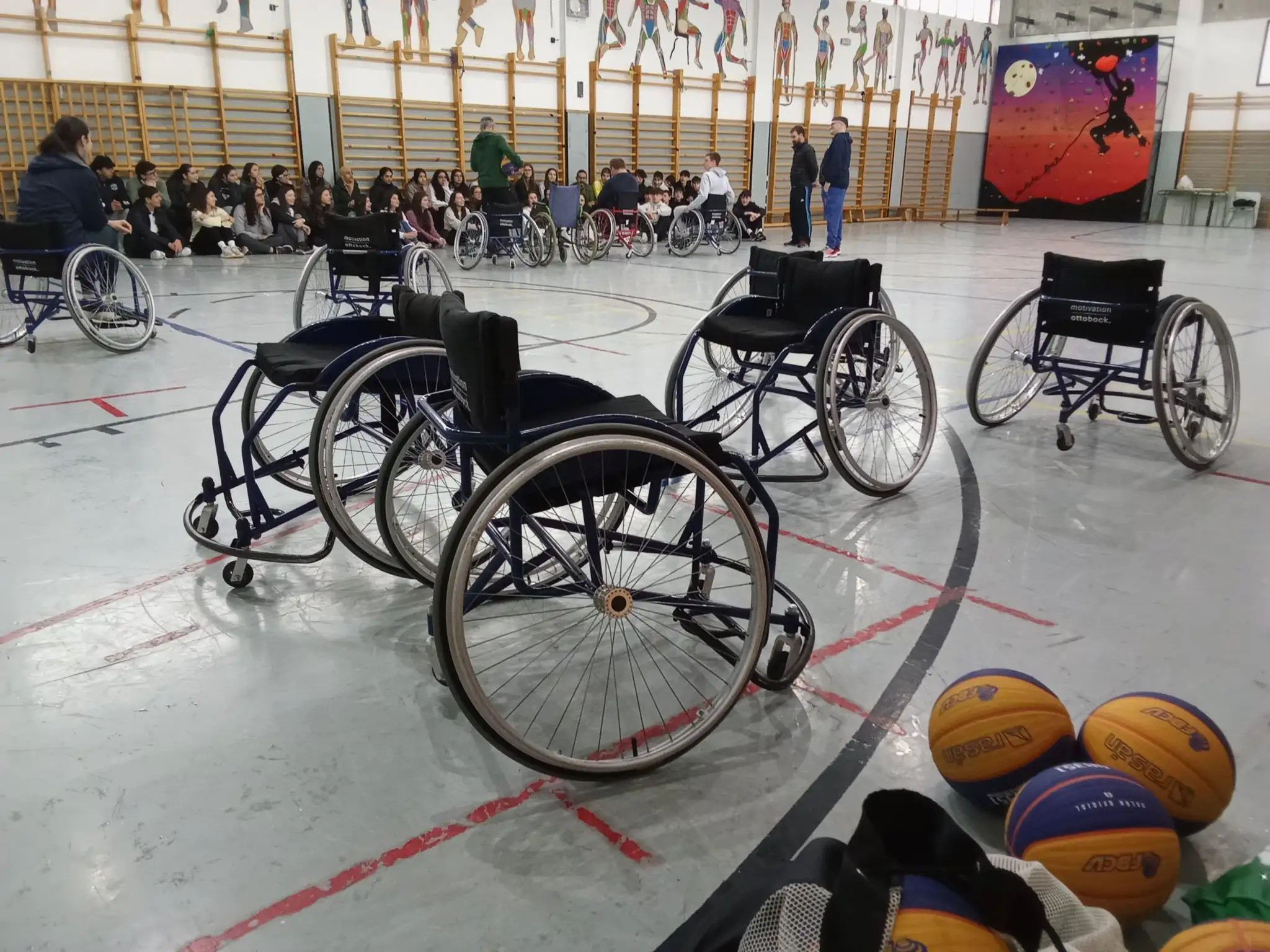 IMG_20260310_114540 (1)