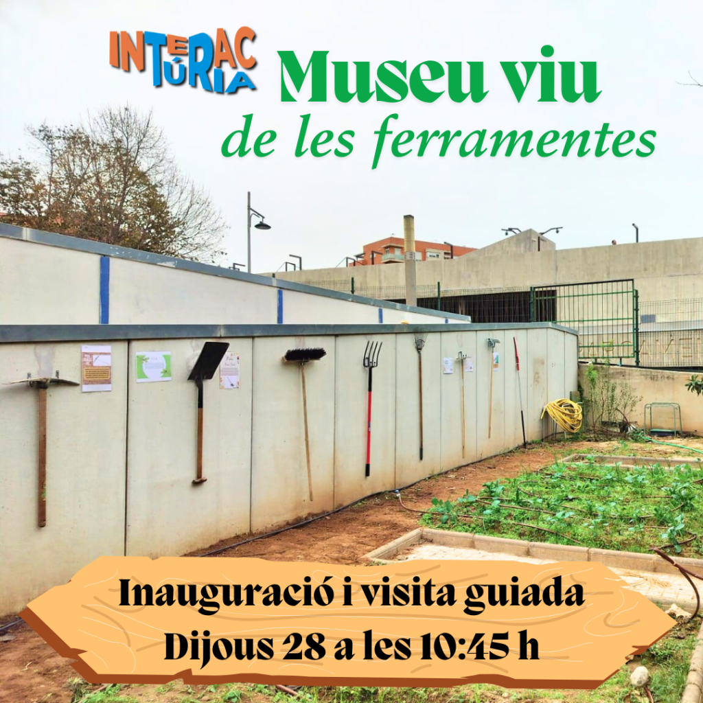 Museu viu