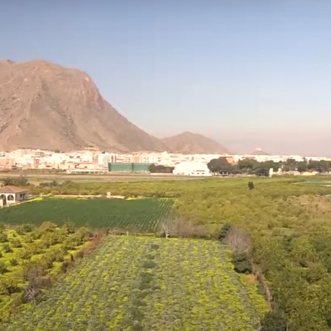 Diseño sin título (1)