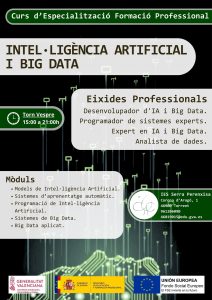 Cartell FP IA Big data (14.5 x 20.5 cm)(1)