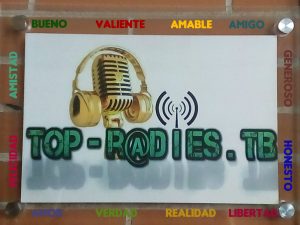 Logo TopRadIES