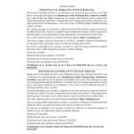 informació votació llengua base