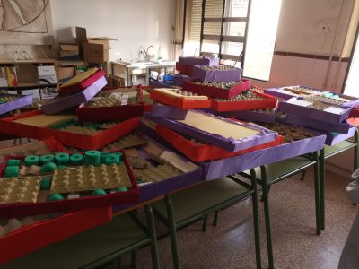 WhatsApp Image 2025-05-23 at 12.15.23