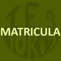 BOTO_INFO copia