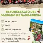 reforestación barracanco