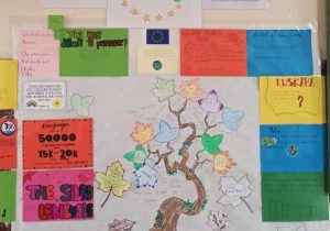 WhatsApp Image 2025-11-14 at 17.06.13