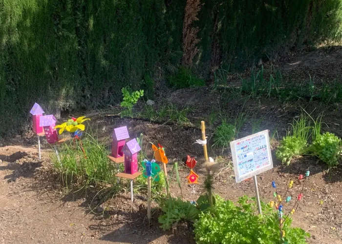 WhatsApp Image 2026-03-26 at 16.52.40 (6)