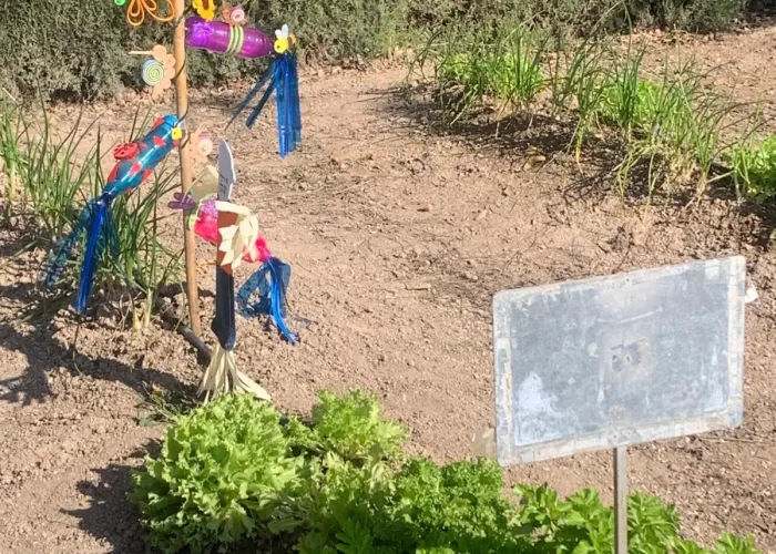 WhatsApp Image 2026-03-26 at 16.52.40 (7)