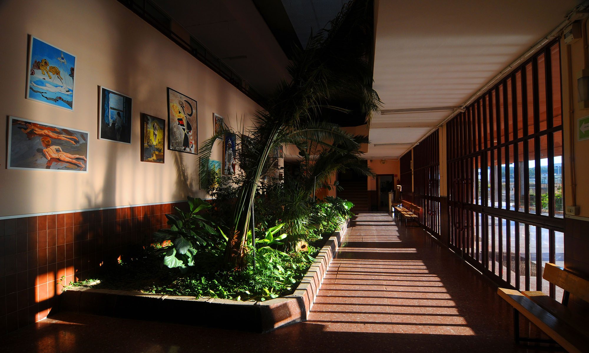 Imagen del centro 46016166