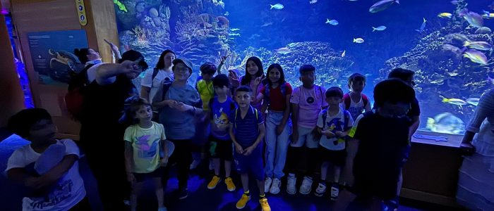 PHOTO-2025-06-12-13-31-37