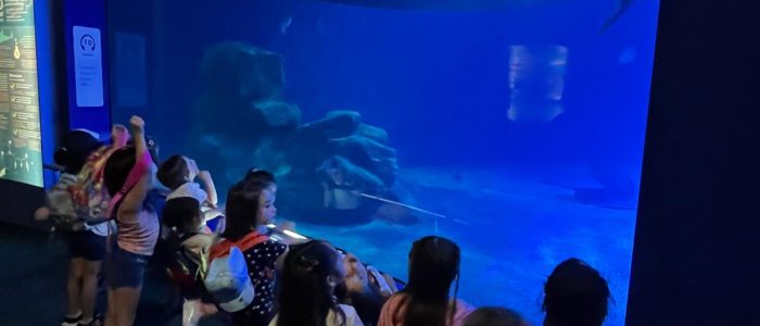 PHOTO-2025-06-12-13-35-20 (1)