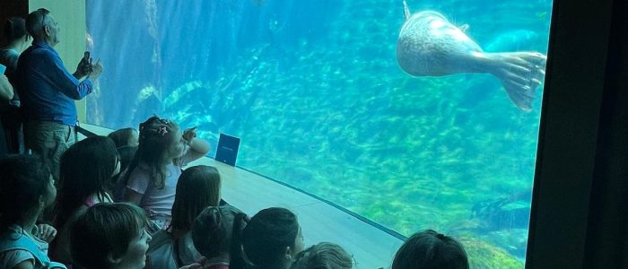 PHOTO-2025-06-12-13-35-20 (2)