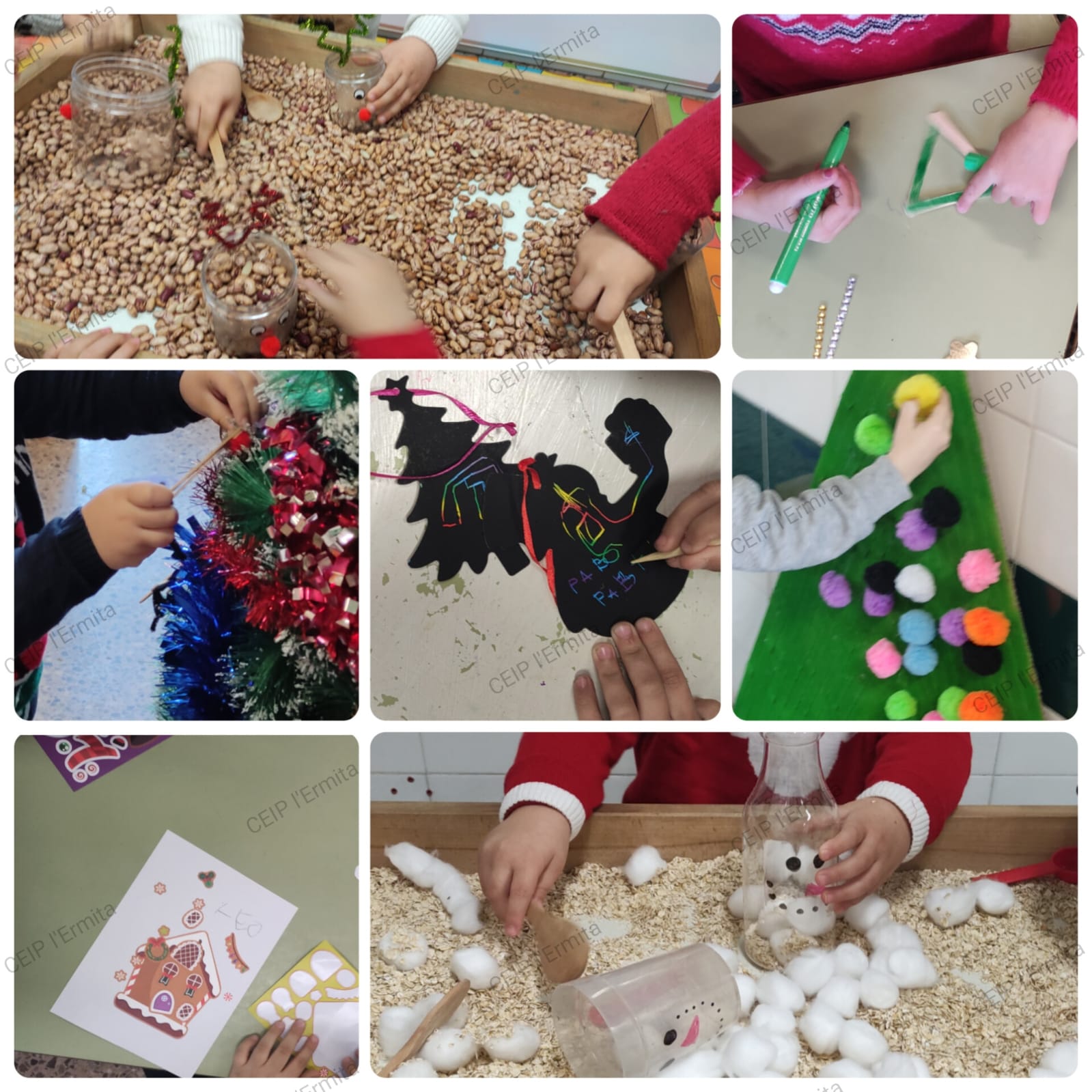 WhatsApp Image 2025-01-07 at 09.49.37