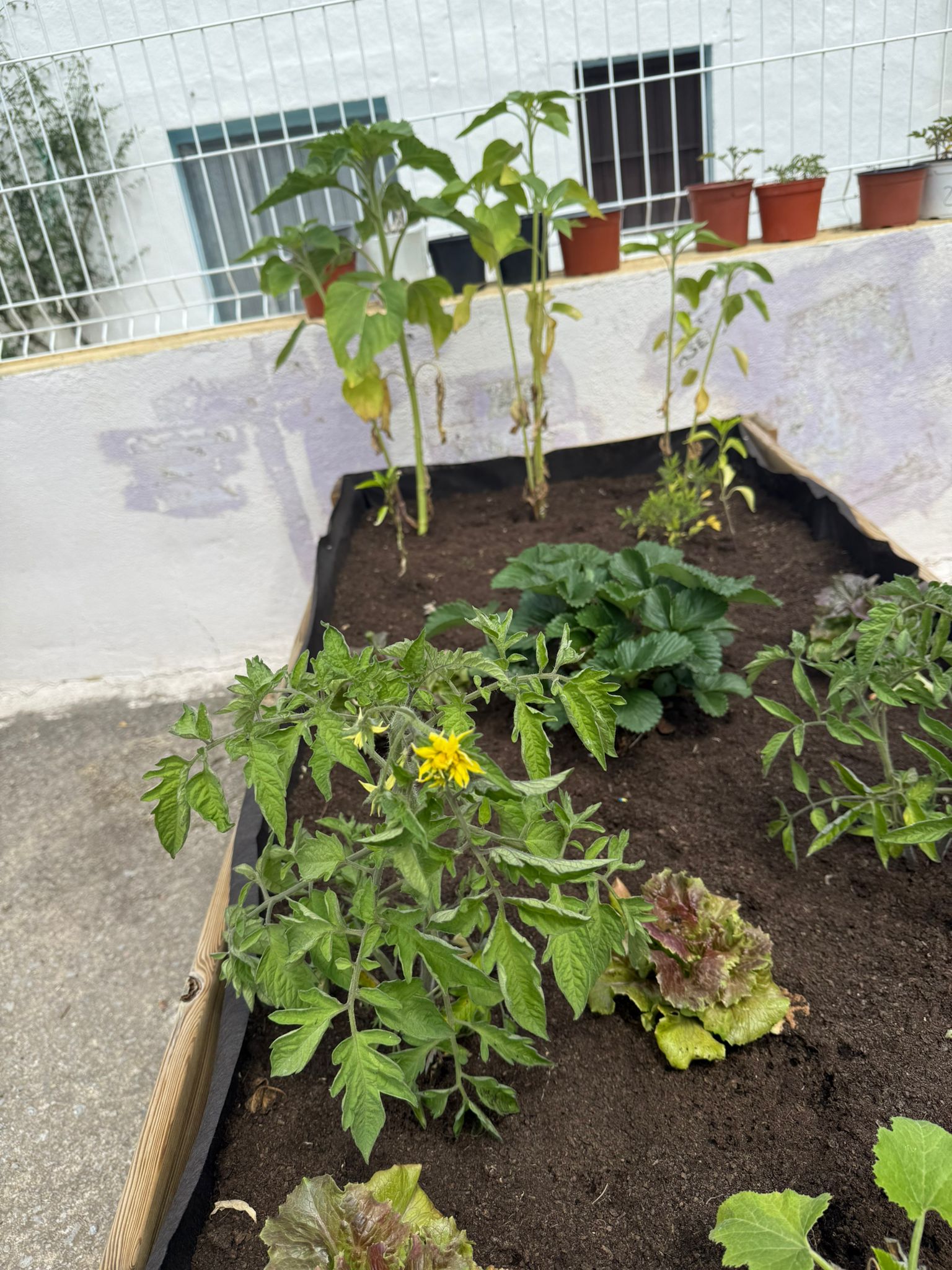 WhatsApp Image 2025-05-08 at 14.57.28 (1)