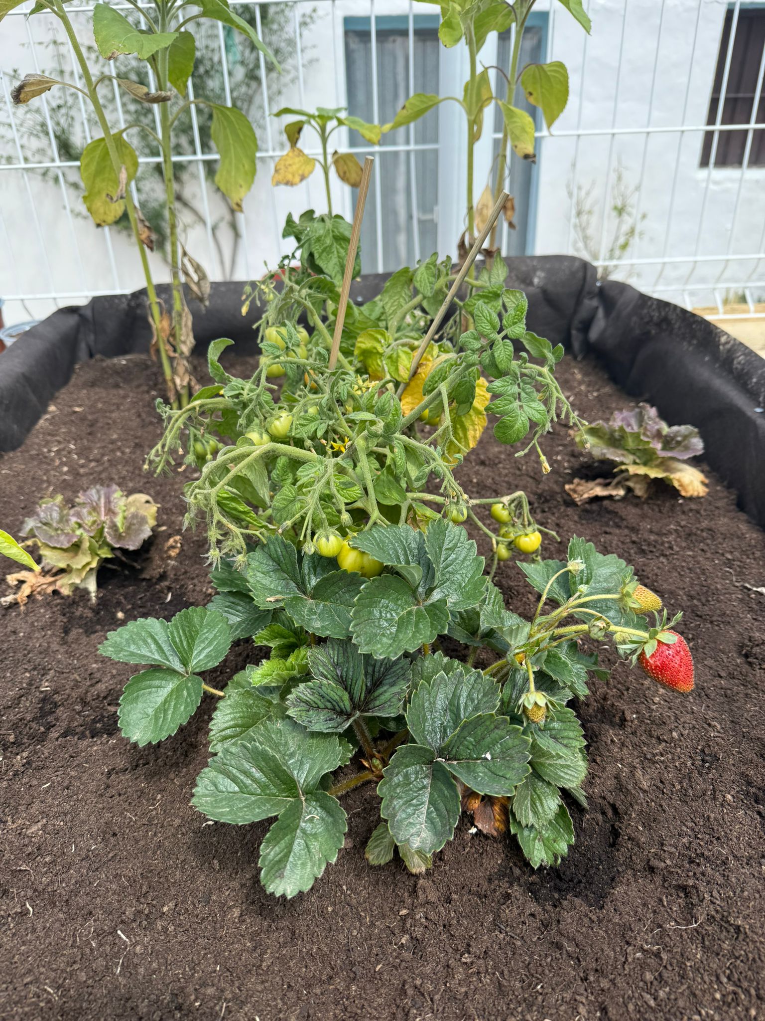 WhatsApp Image 2025-05-08 at 14.57.28 (2)