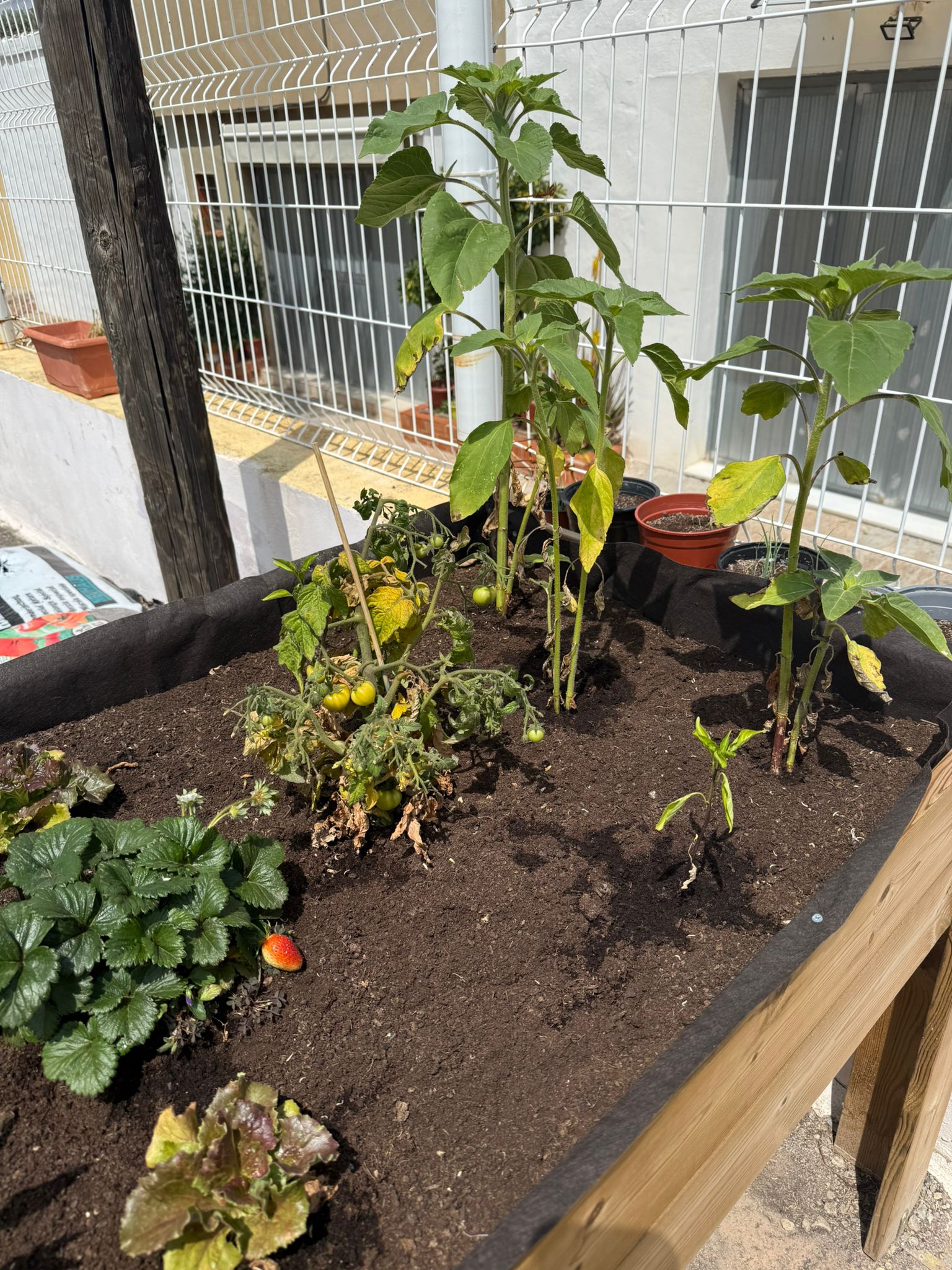 WhatsApp Image 2025-05-08 at 14.57.29 (2)