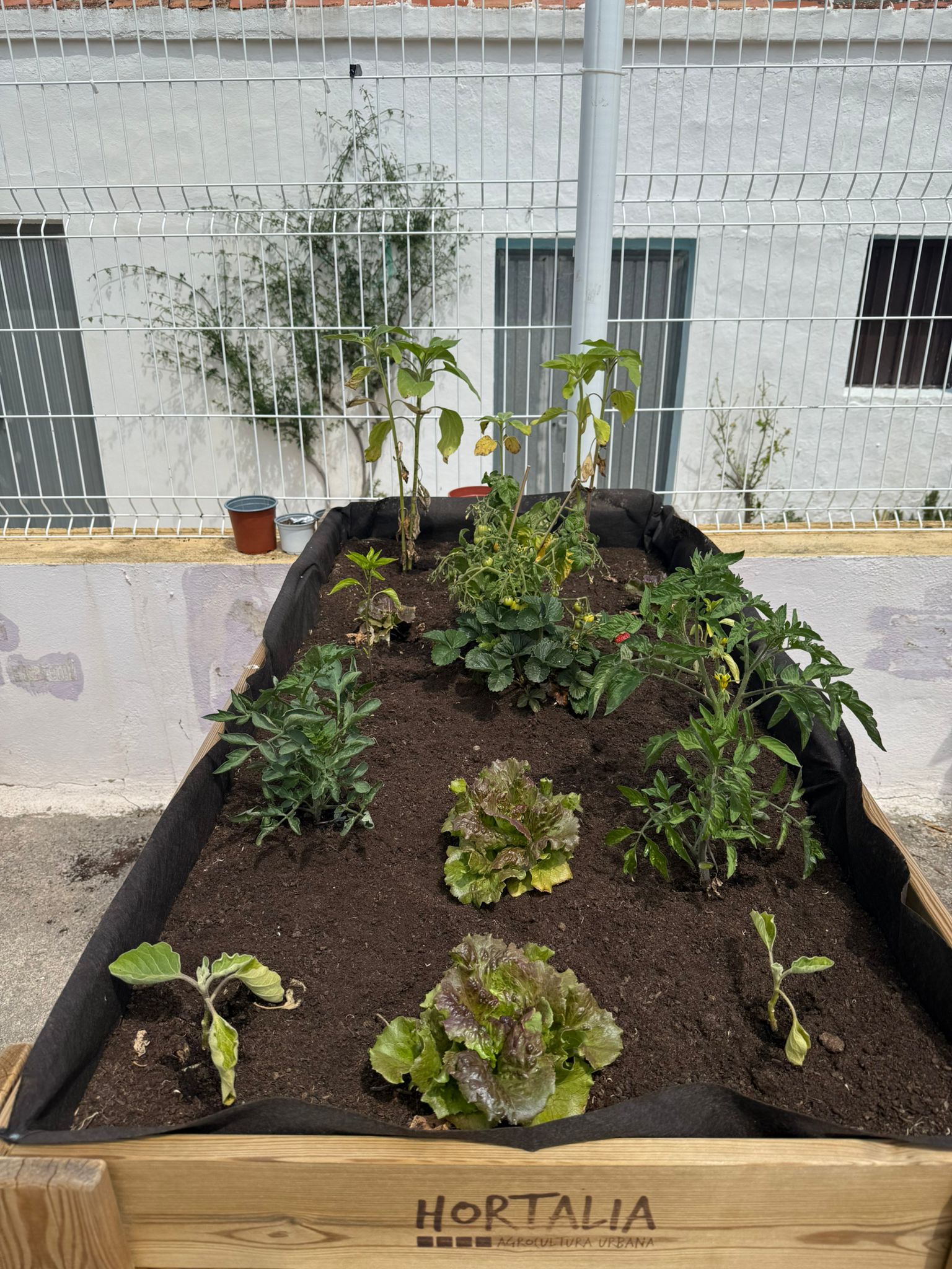 WhatsApp Image 2025-05-08 at 14.57.29