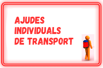 AJUDES INDIVIDUALS DE TRANSPORT