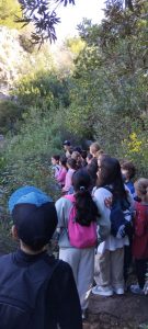 photo_5906889404776039940_y